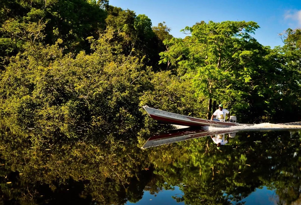 Freizeit in der Lodge und Rückkehr nach Manaus